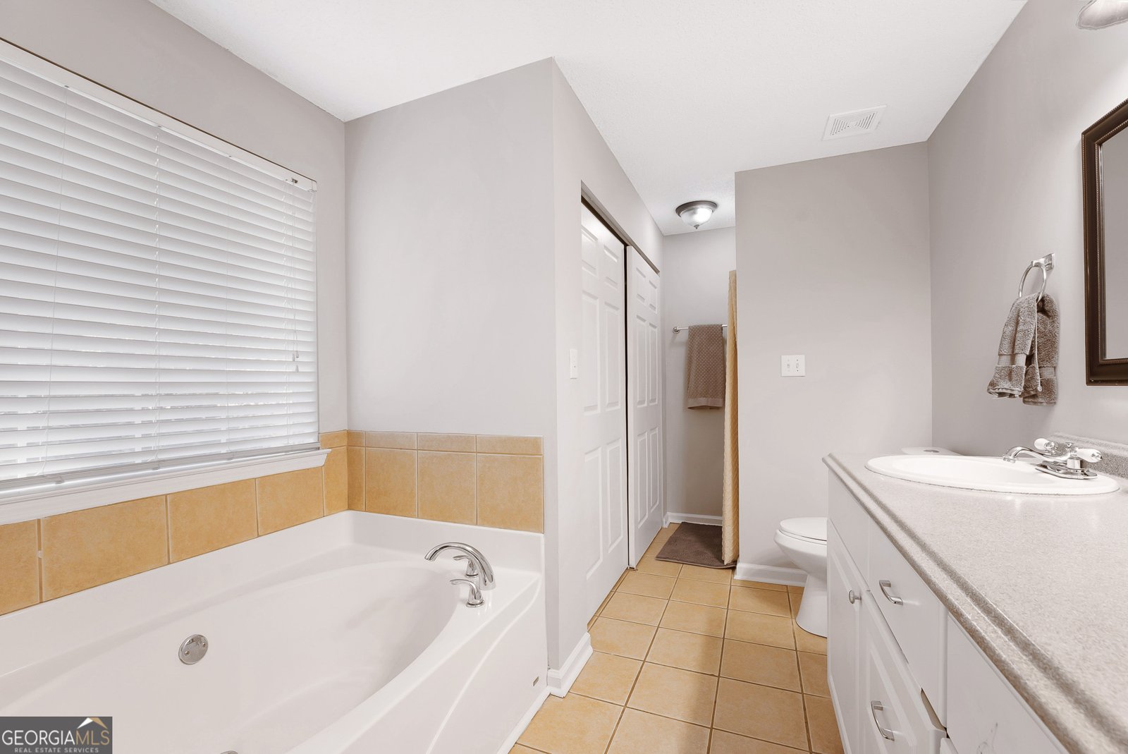 101 Apache Pointe Drive Senoia - 14
