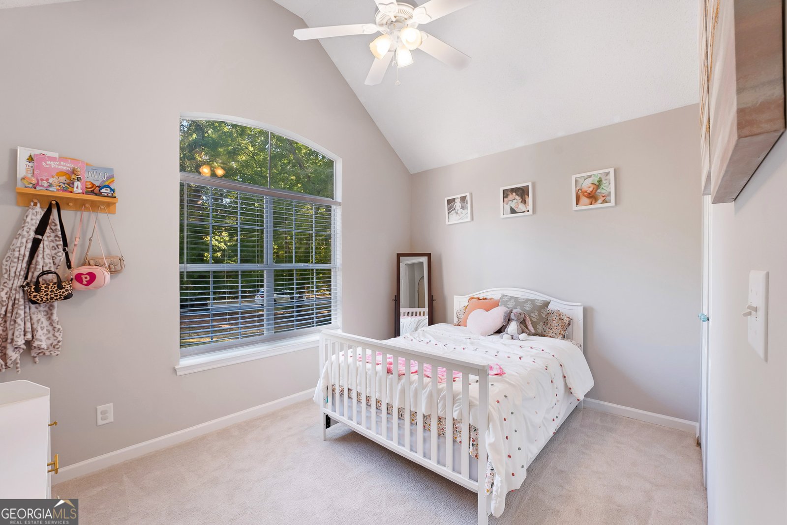 101 Apache Pointe Drive Senoia - 17