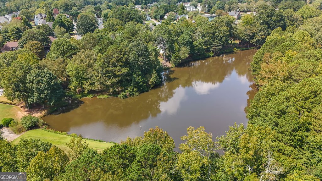 2085 Brook Meadow Drive Alpharetta - 56
