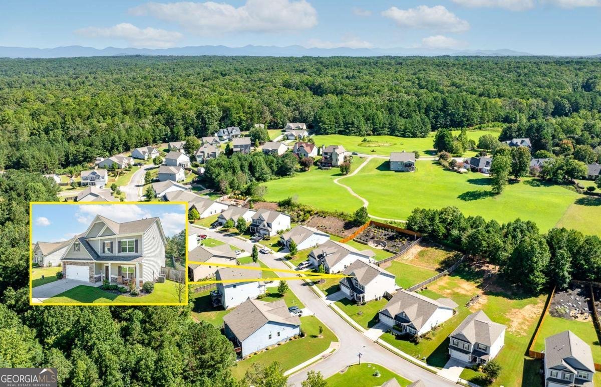 269 Crown Pointe Drive Dawsonville - 34