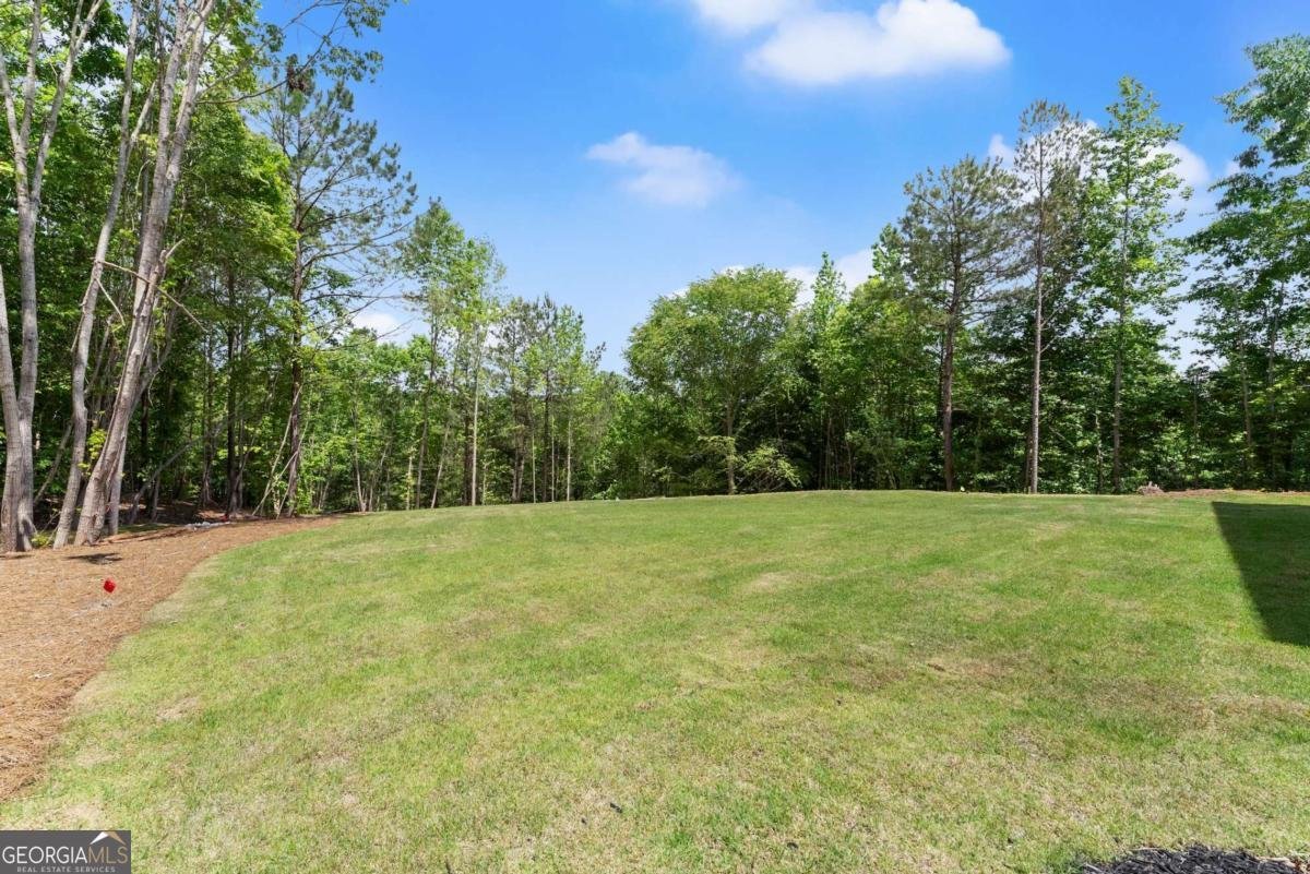 4860 Grandview Court Flowery Branch - 8