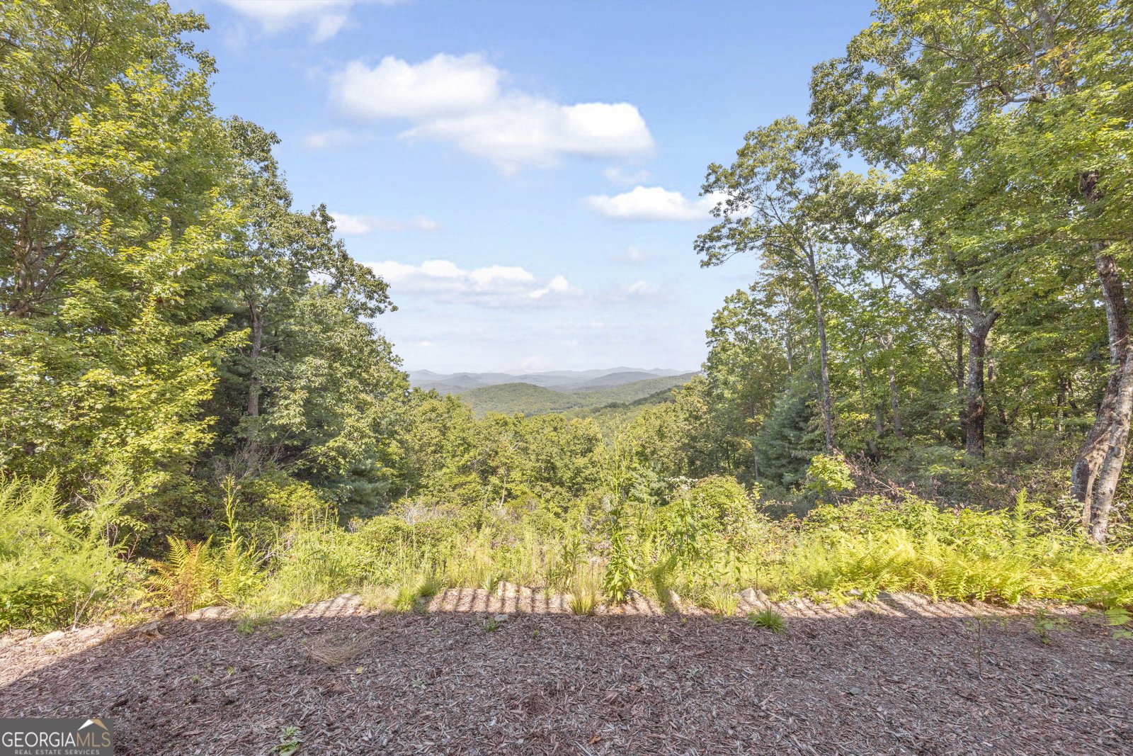 311 Bald Eagle Path Cleveland - 23