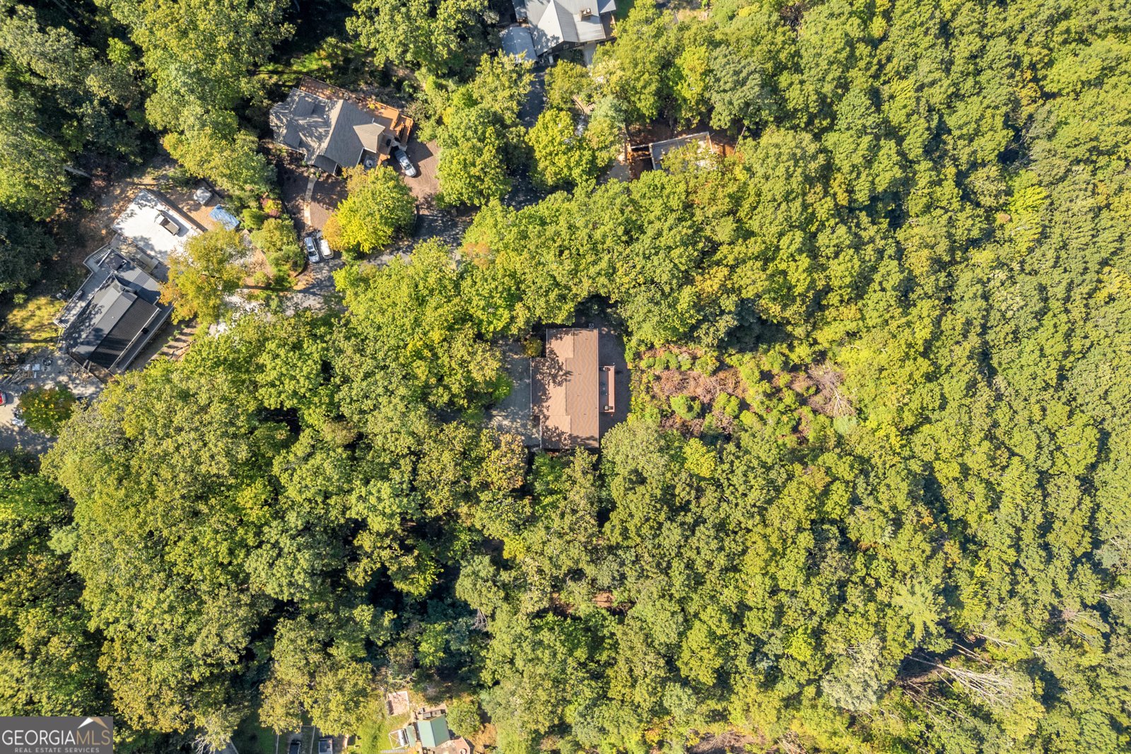 311 Bald Eagle Path Cleveland - 36