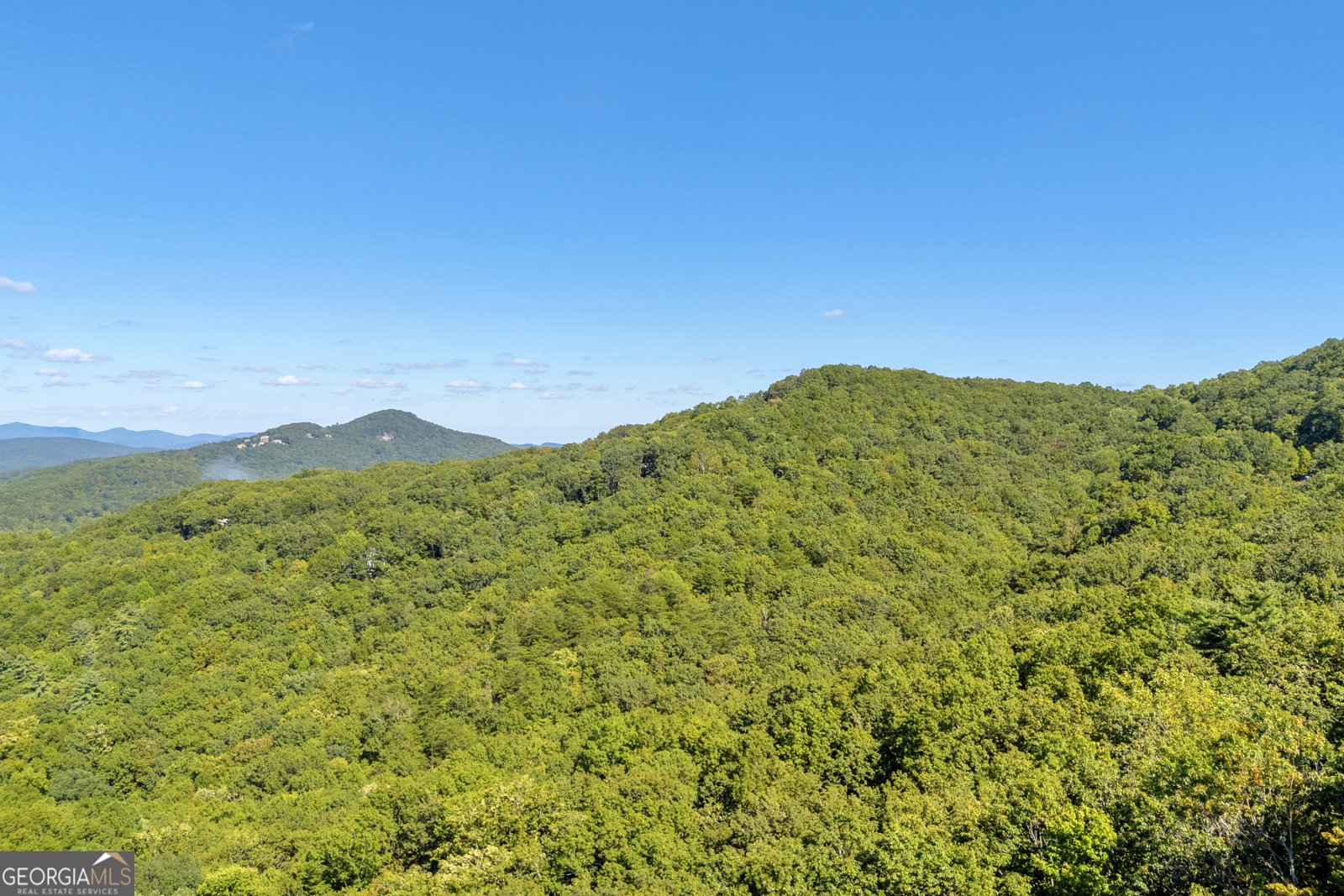 311 Bald Eagle Path Cleveland - 44