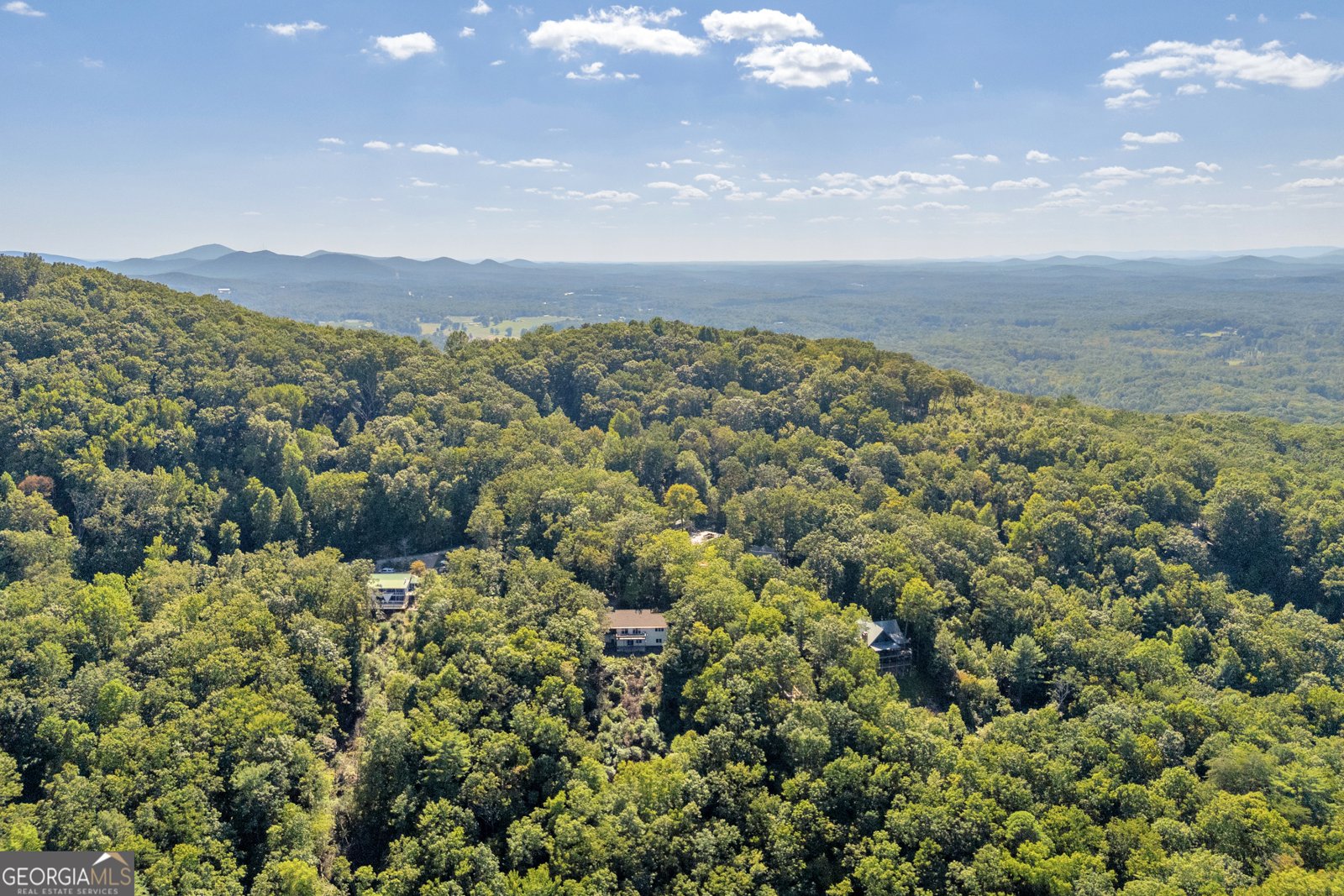 311 Bald Eagle Path Cleveland - 47