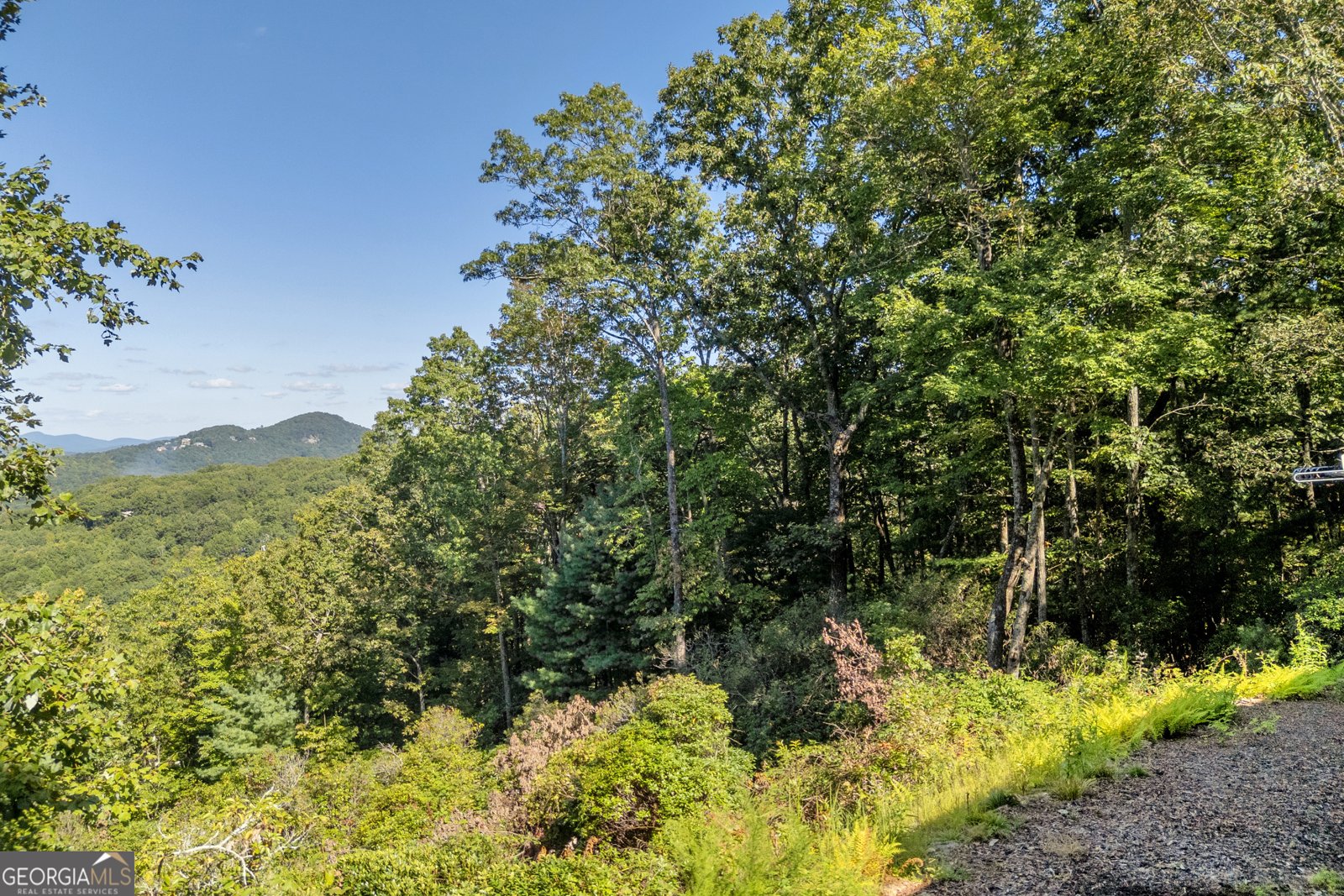 311 Bald Eagle Path Cleveland - 49