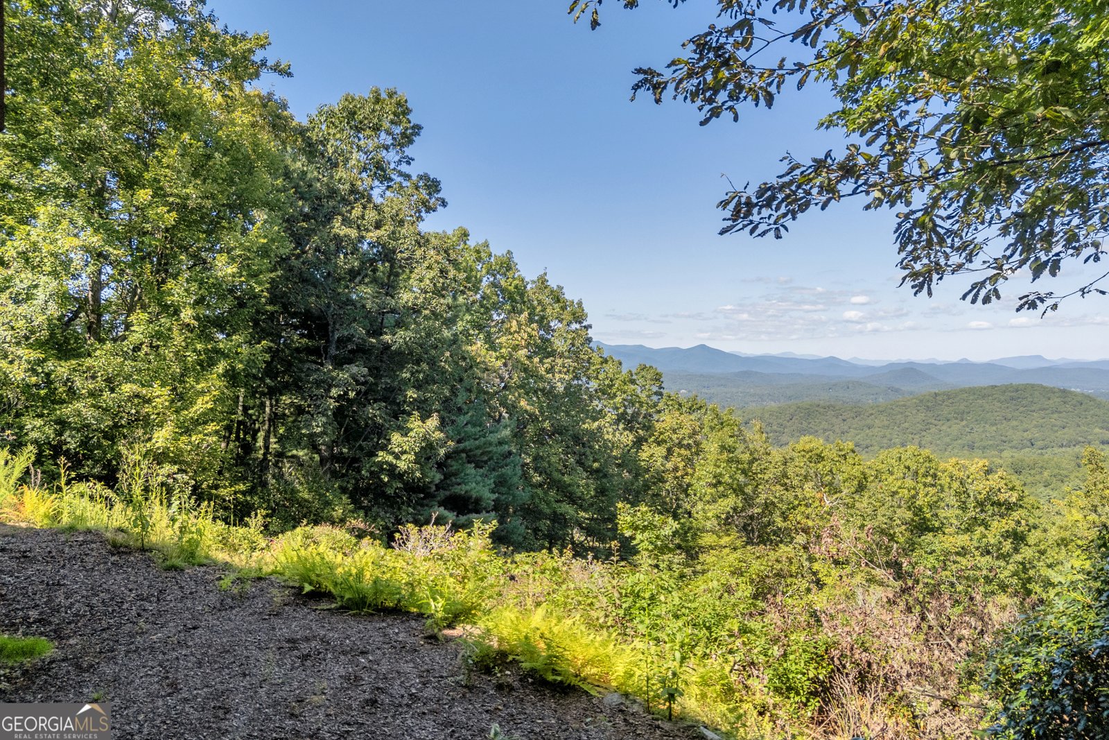 311 Bald Eagle Path Cleveland - 53