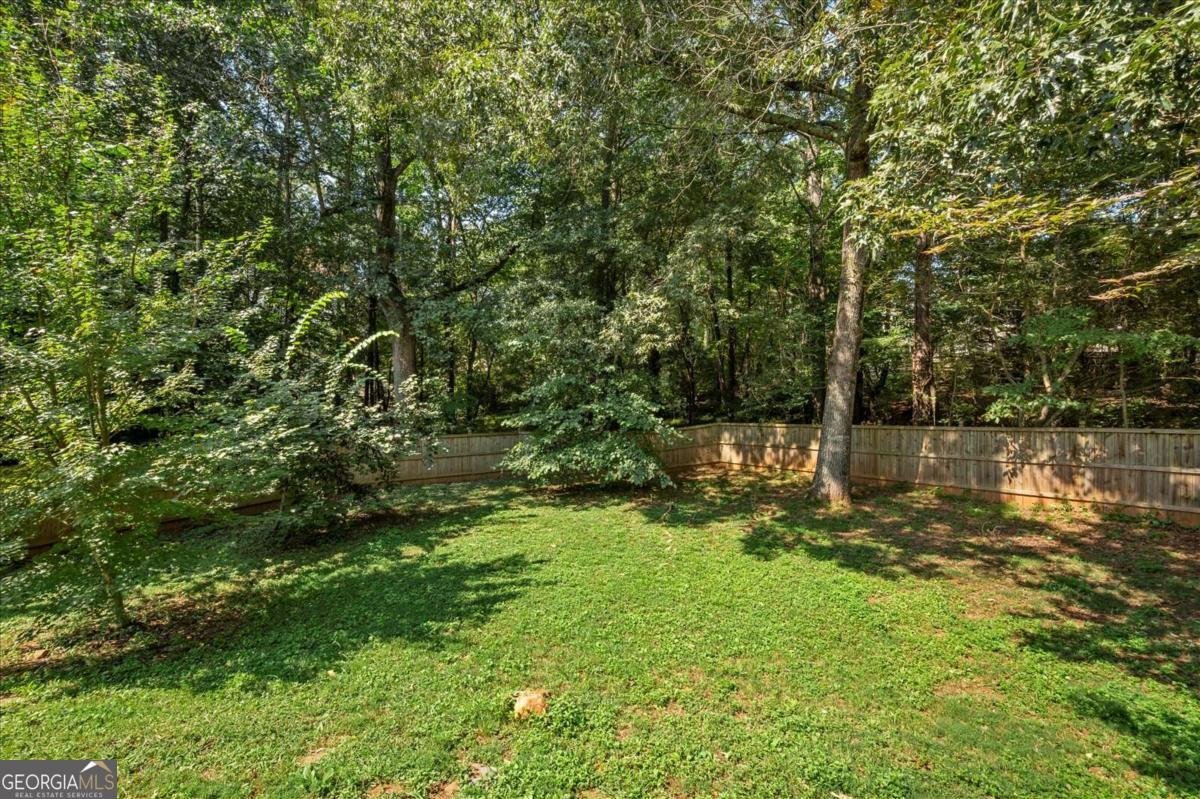 528 Wisteria Drive Woodstock - 50