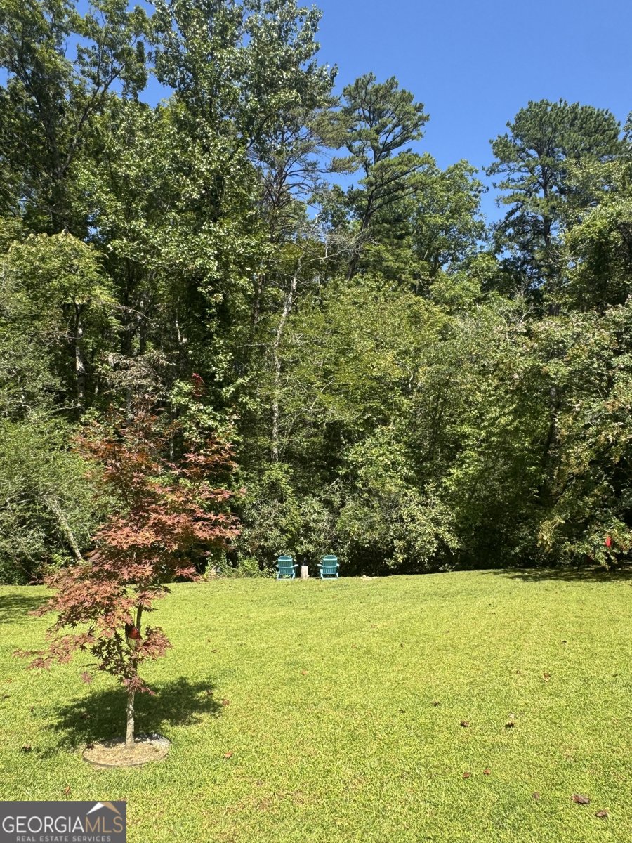 4960 Laurel Lodge Road Clarkesville - 10