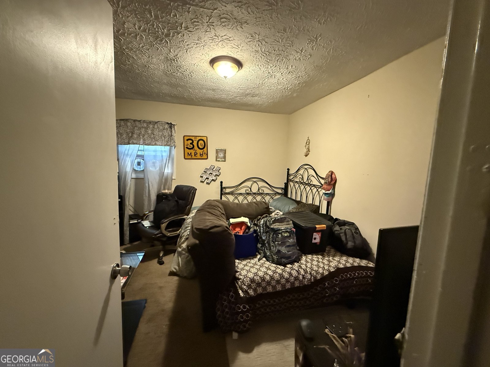 2166 Chestnut Place Lithia Springs - 10