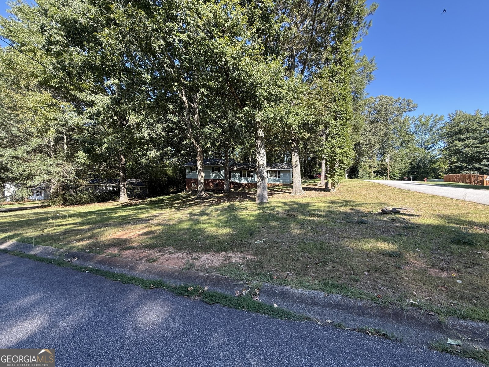 2166 Chestnut Place Lithia Springs - 2