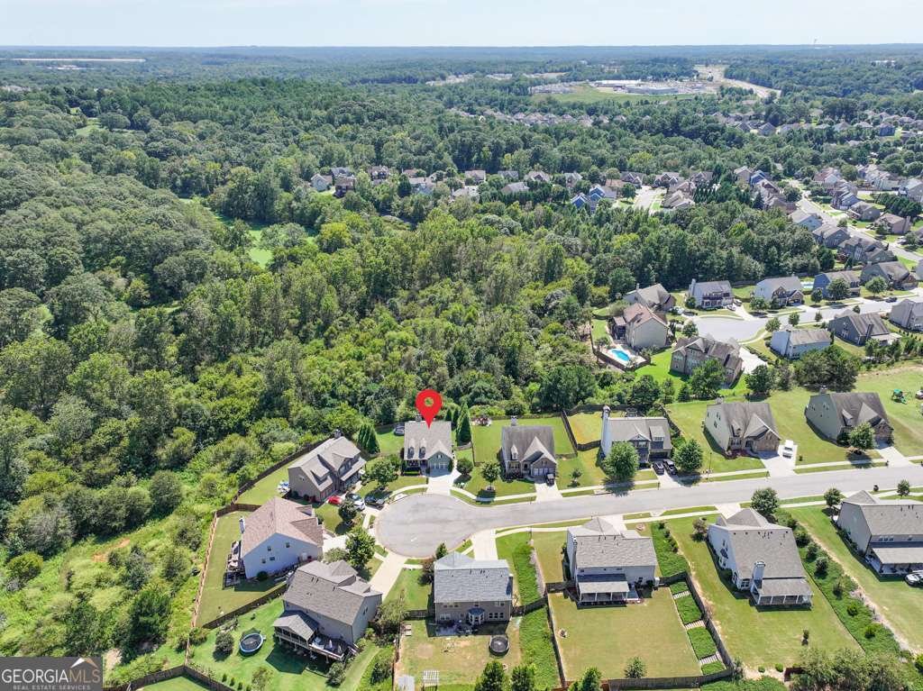 1919 Henderson Falls Way Braselton - 31