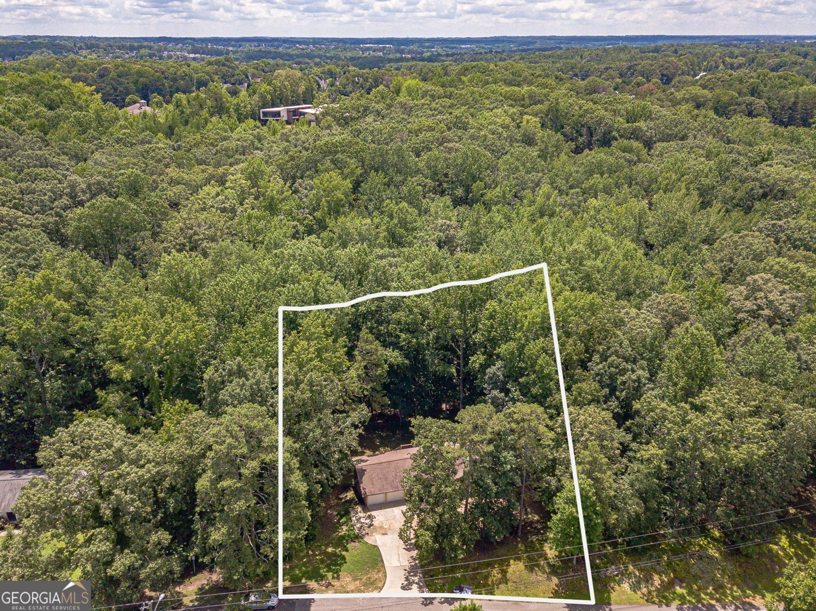 2446 THRASHER Road Buford - 11