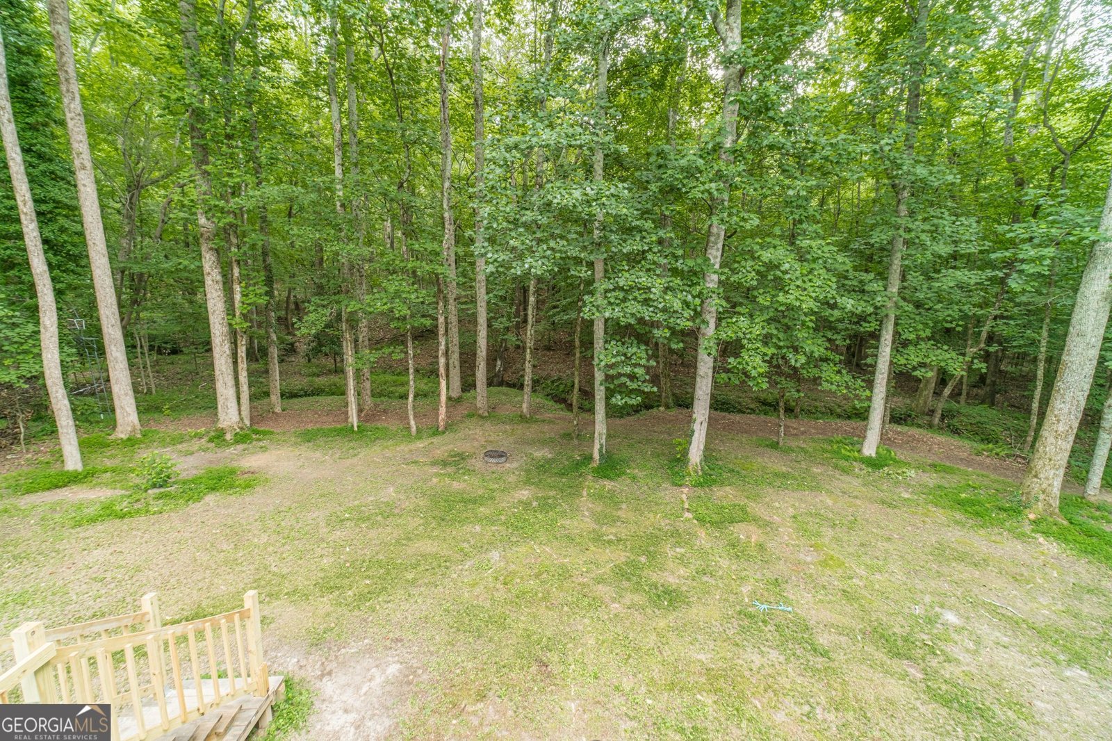 2446 THRASHER Road Buford - 26