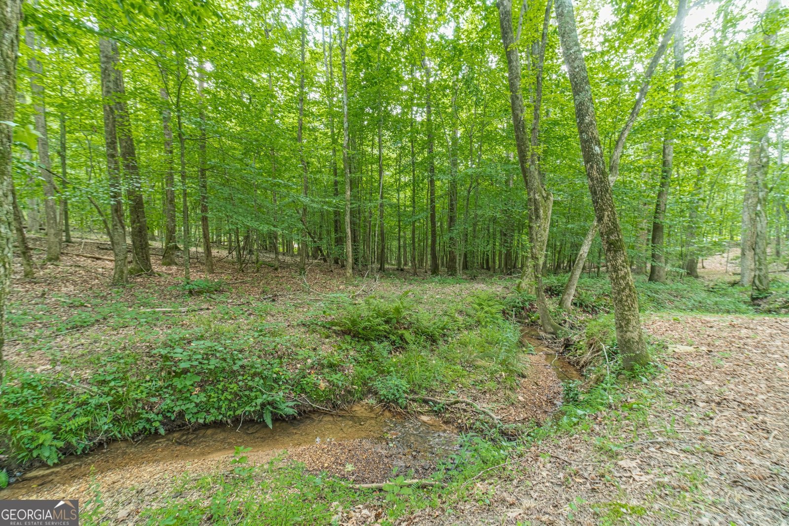 2446 THRASHER Road Buford - 35