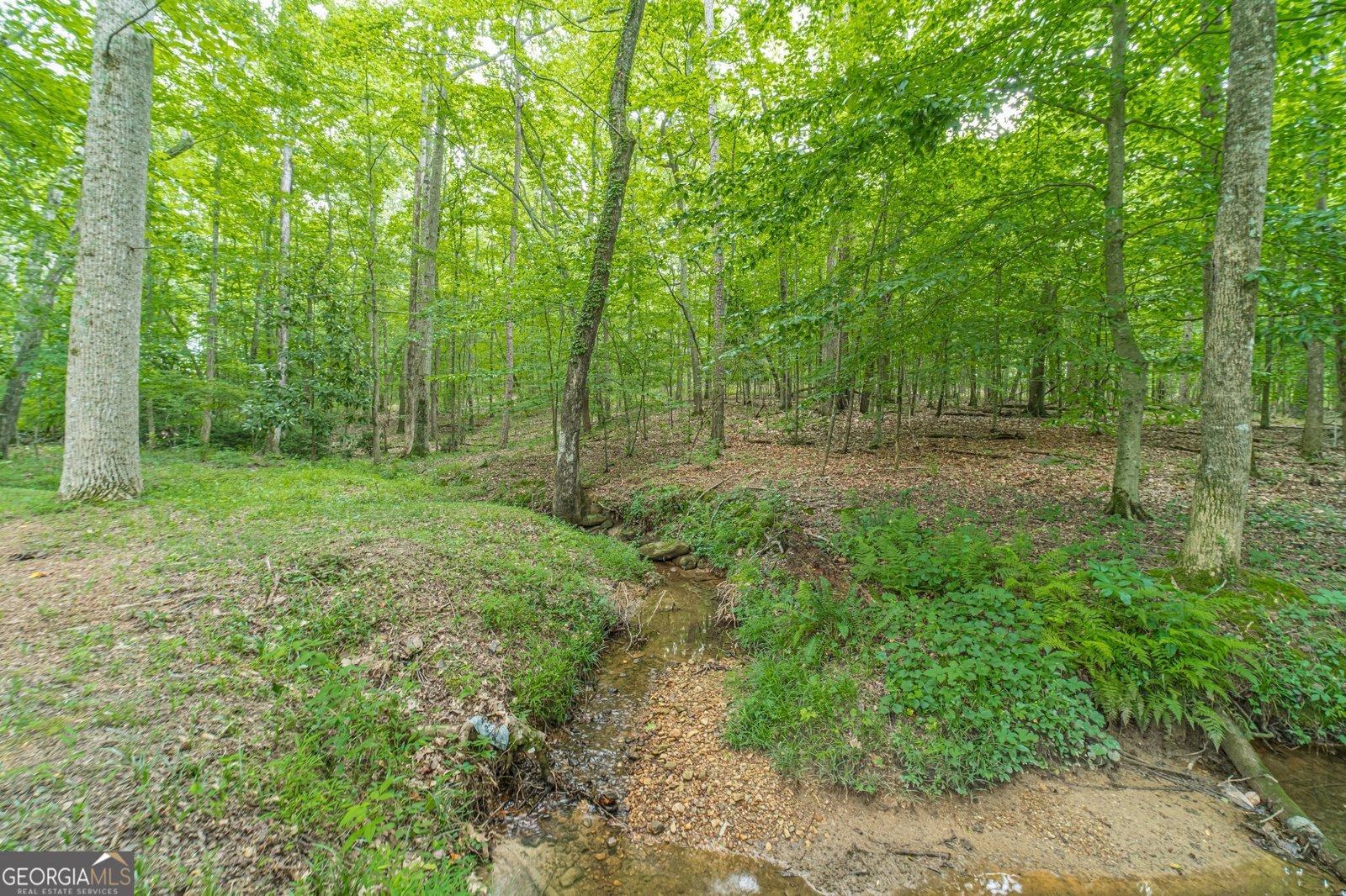 2446 THRASHER Road Buford - 6