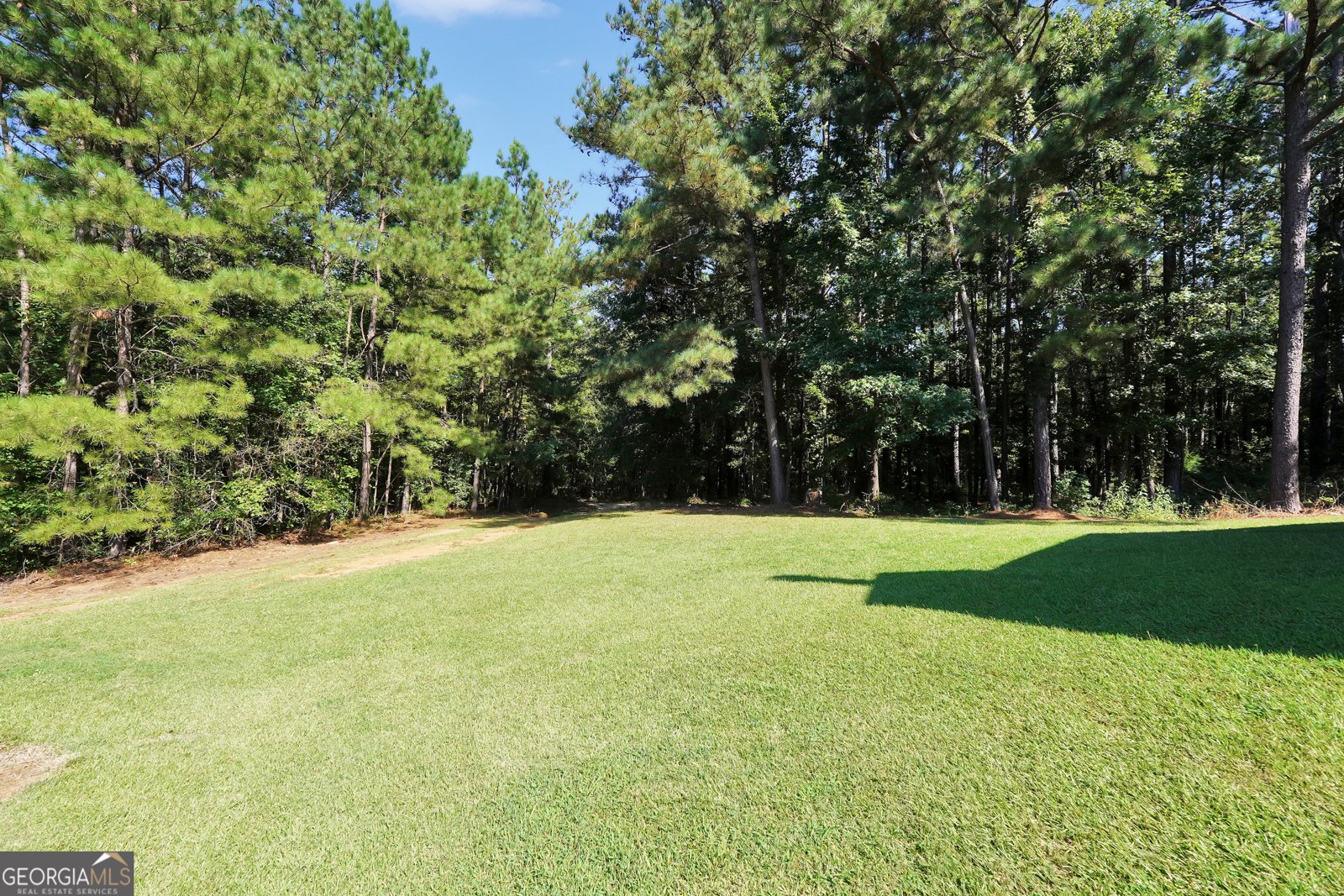 556 Higgins Road Locust Grove - 5