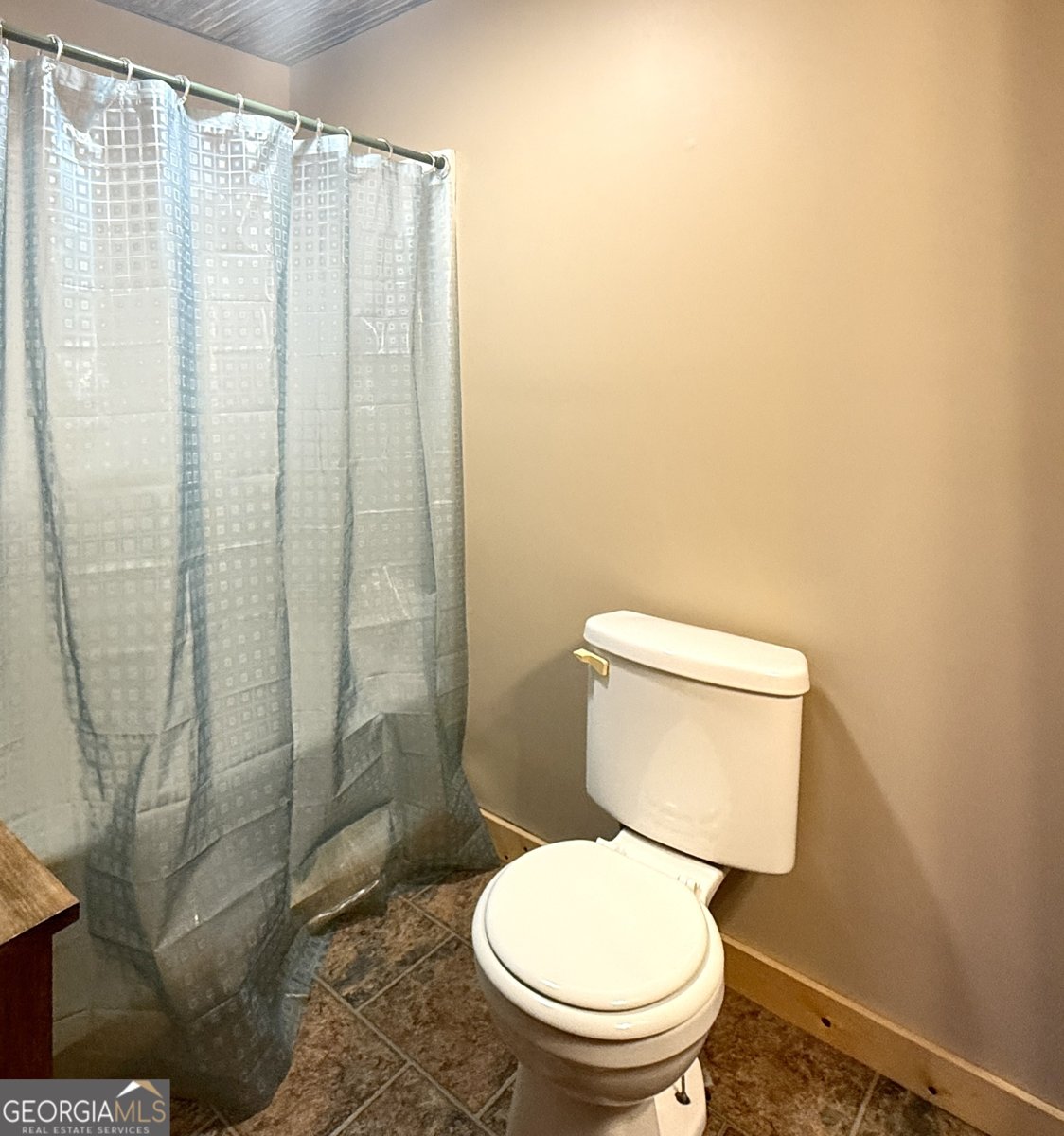1515 Millenium Drive Young Harris - 26