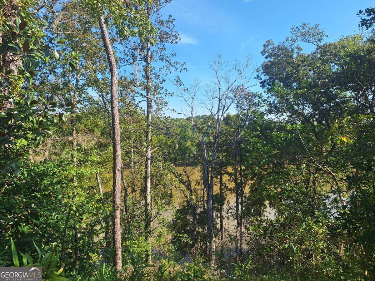 163 High Bluff Road Baxley - 16