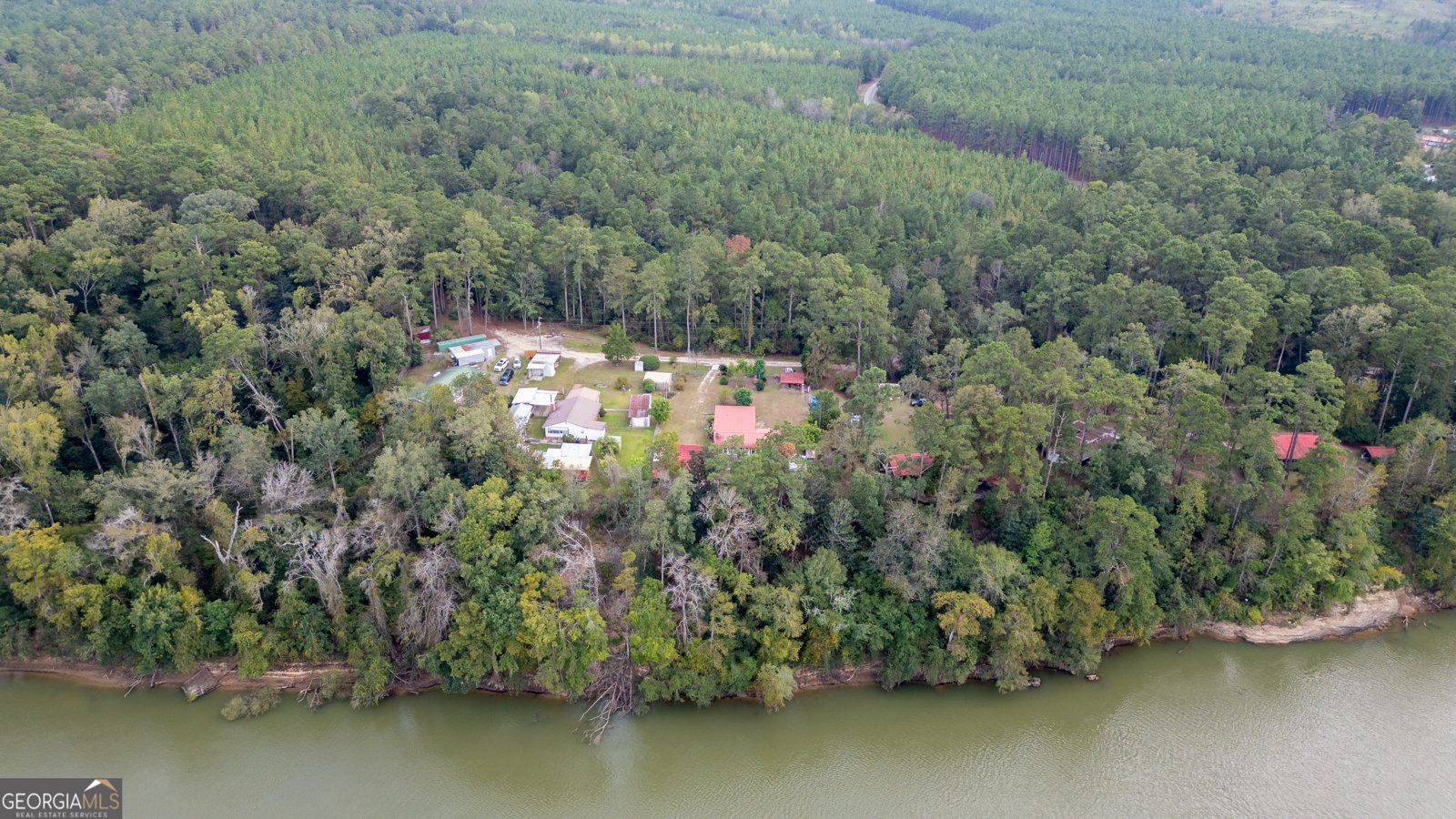 163 High Bluff Road Baxley - 45