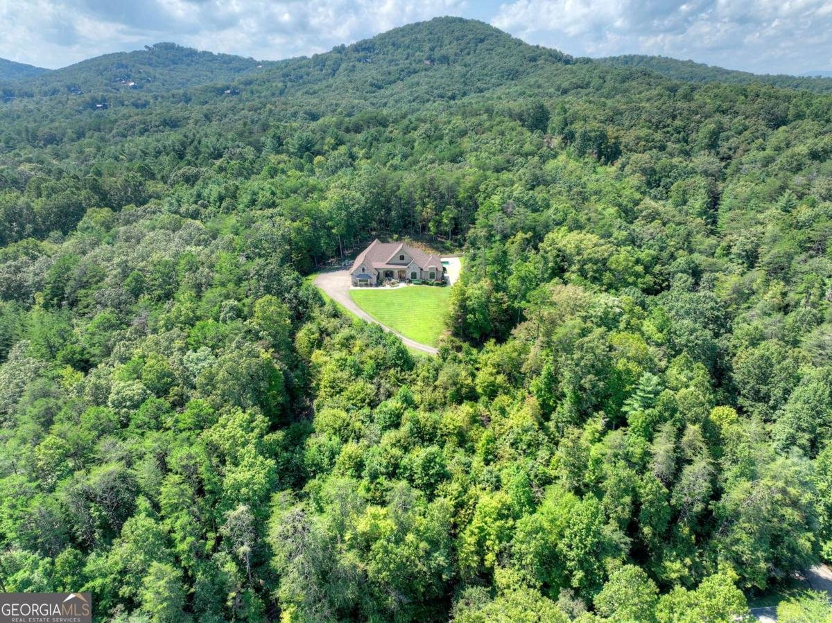 2740 Aska Road Blue Ridge - 3