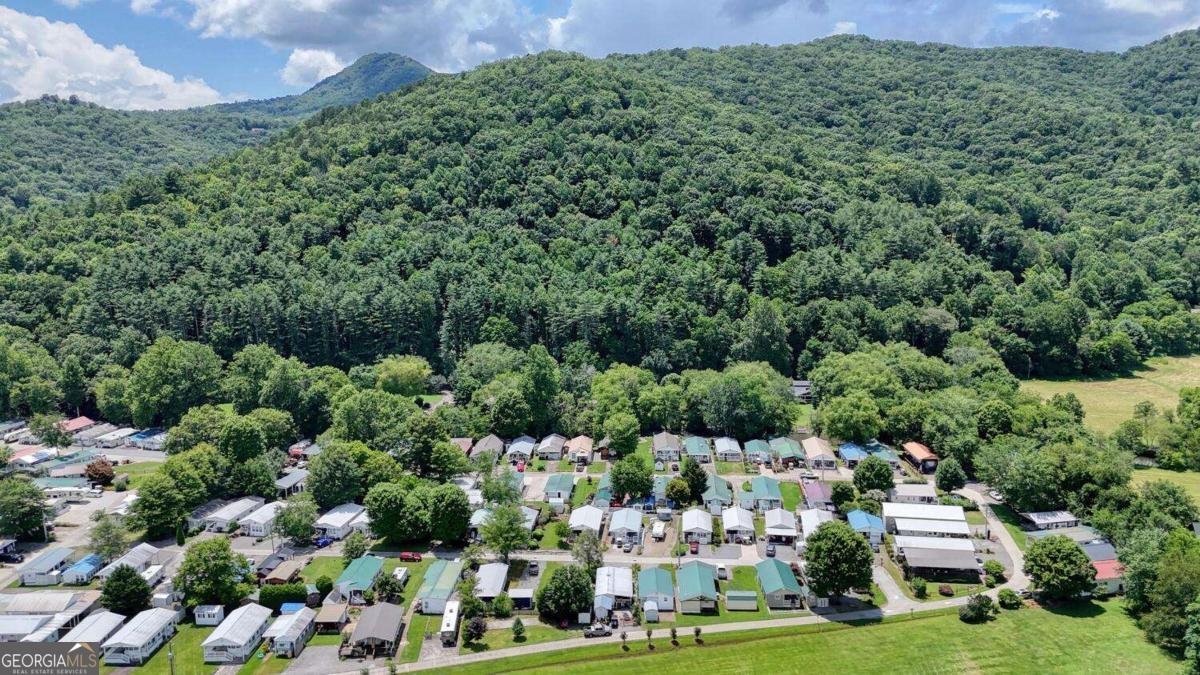 4353 Riverbank Run Hiawassee - 42