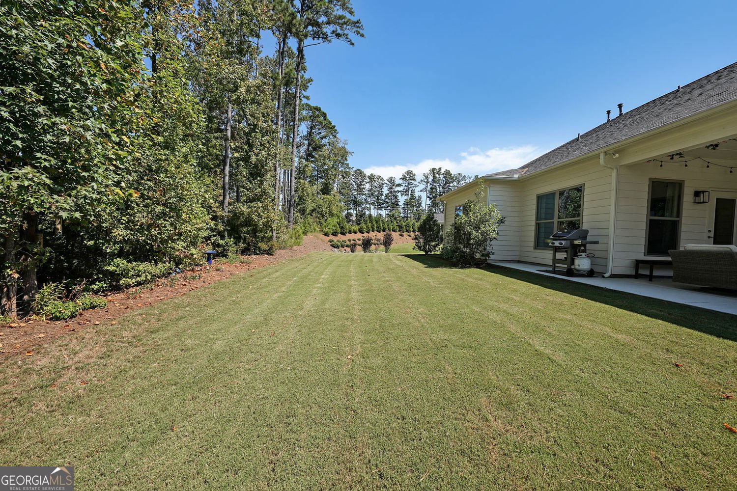 350 Elkins Place Peachtree City - 30