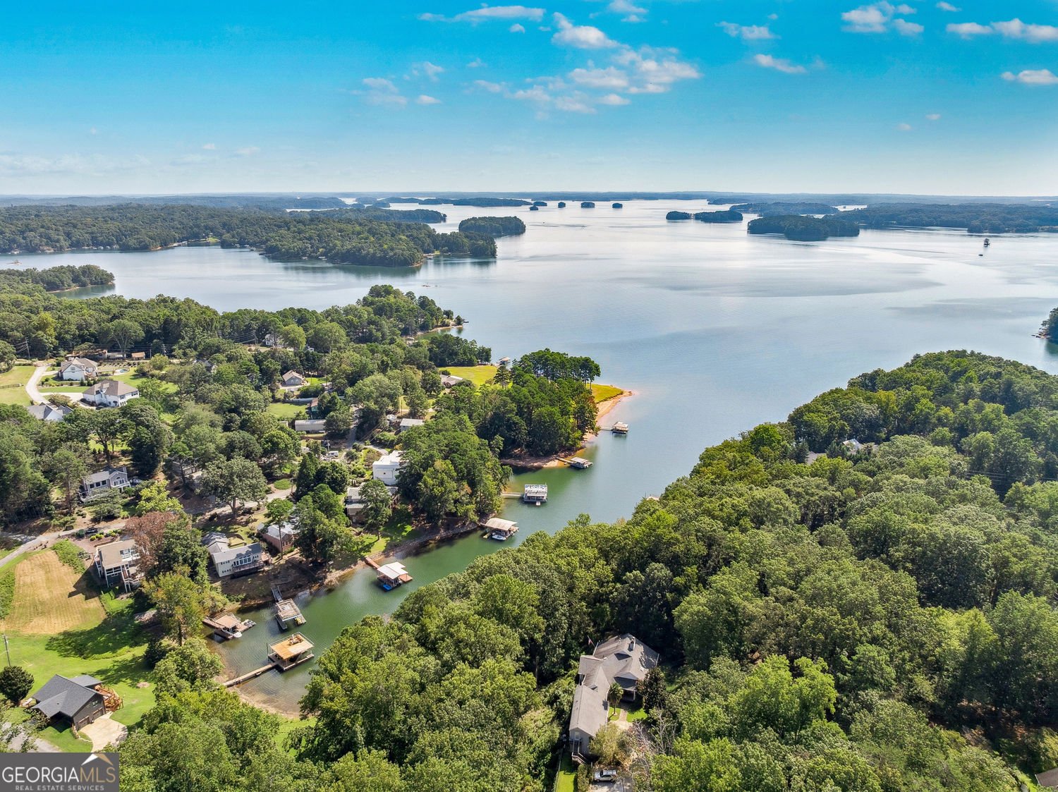 5005 Young Deer Drive Cumming - Photo 38