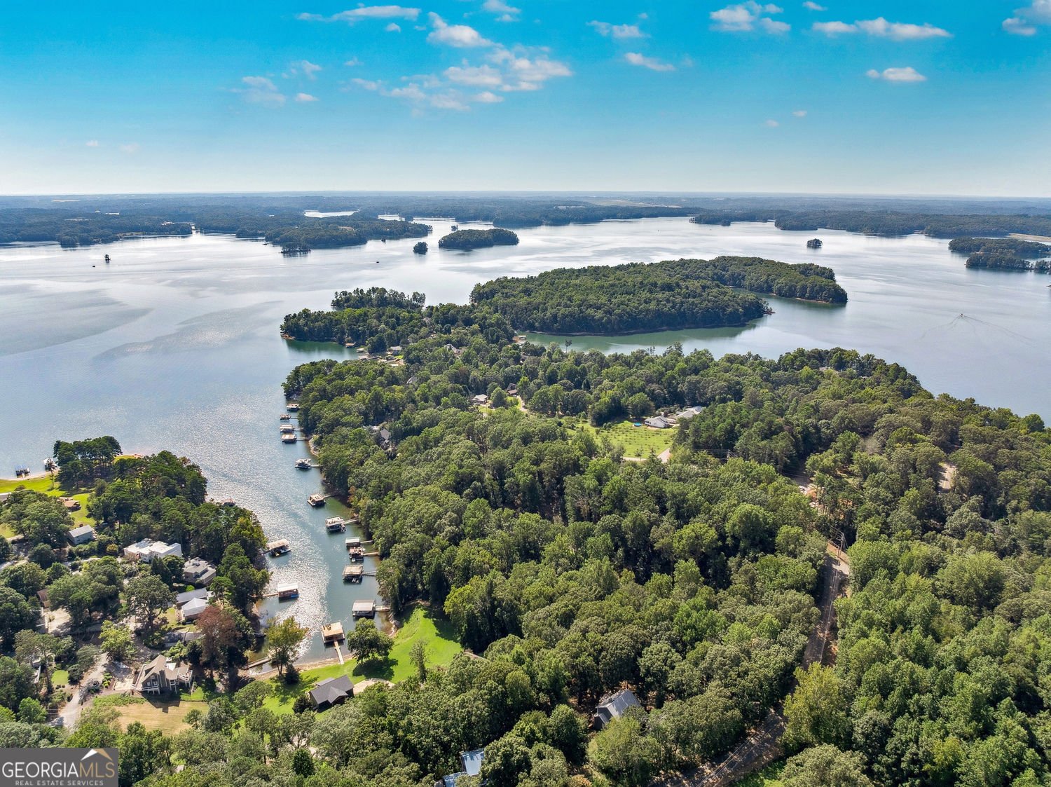 5005 Young Deer Drive Cumming - Photo 39