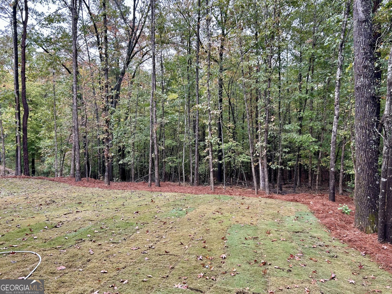 27 Stonebrook Drive Rome - 4