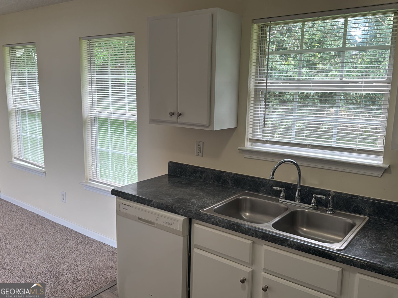 4153 Ward Lake Trail Ellenwood - 5