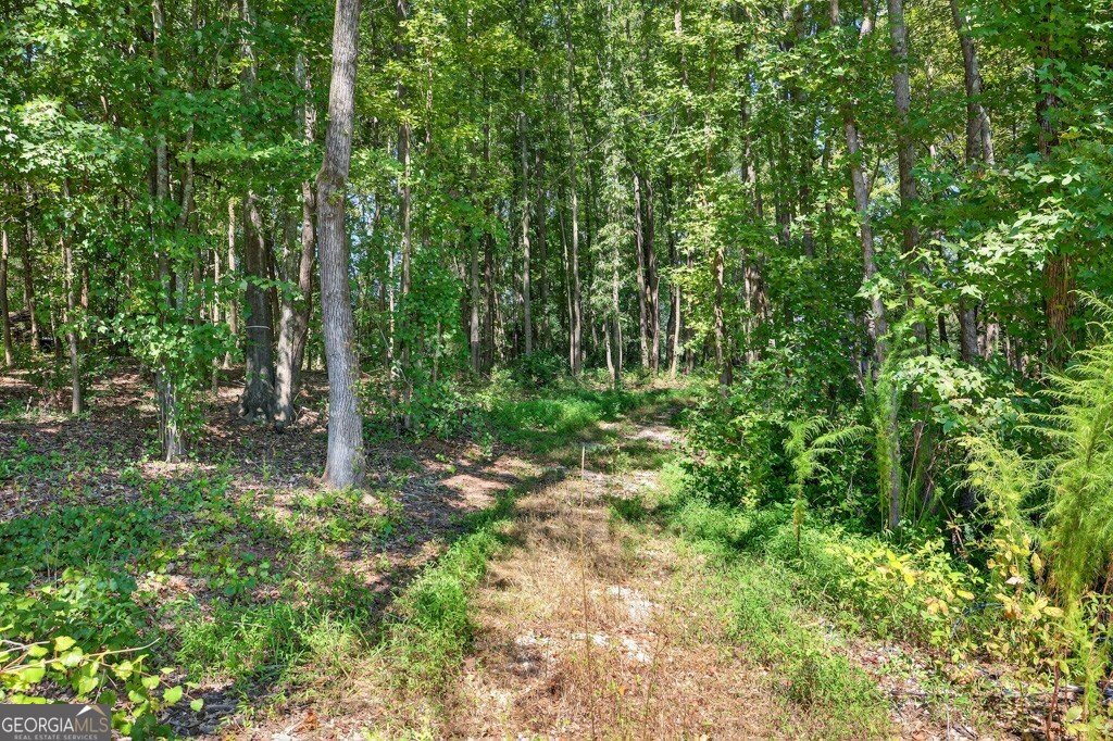 1212 Highway 211 Winder - 17