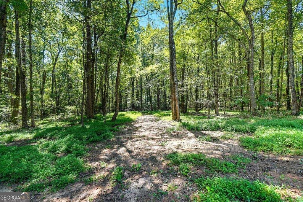 5239 Nora Drive Douglasville - 41