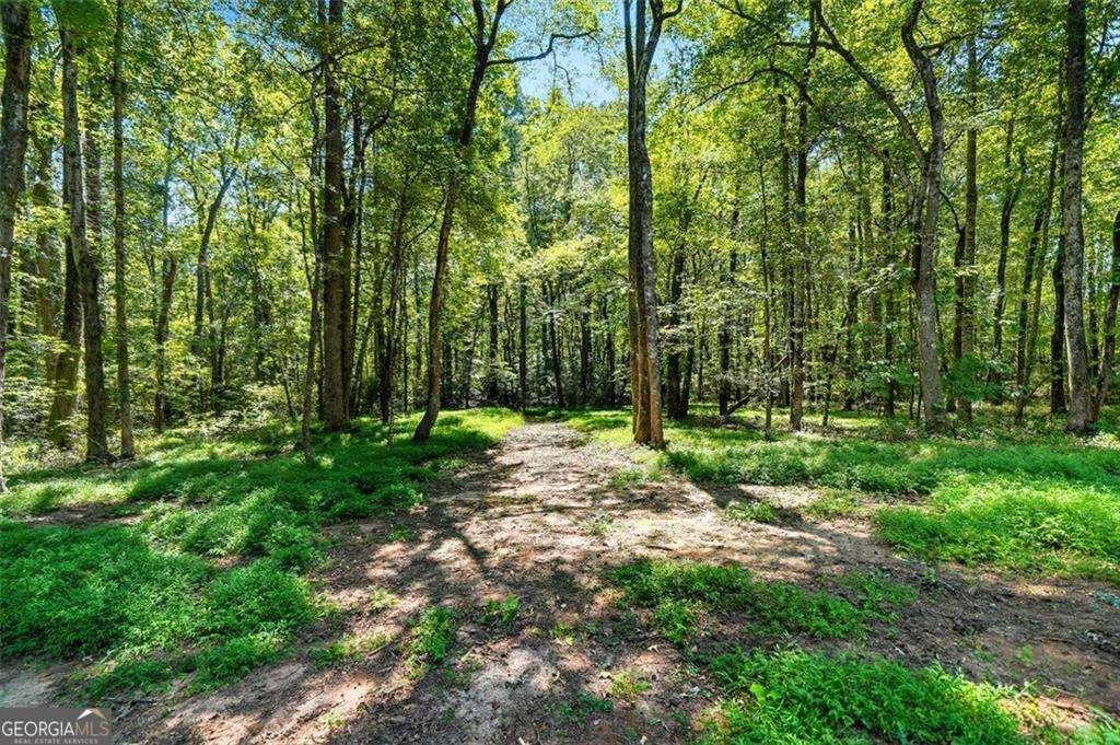 5239 Nora Drive Douglasville - 51