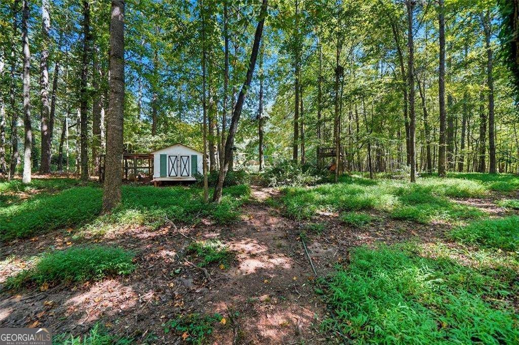 5239 Nora Drive Douglasville - 52