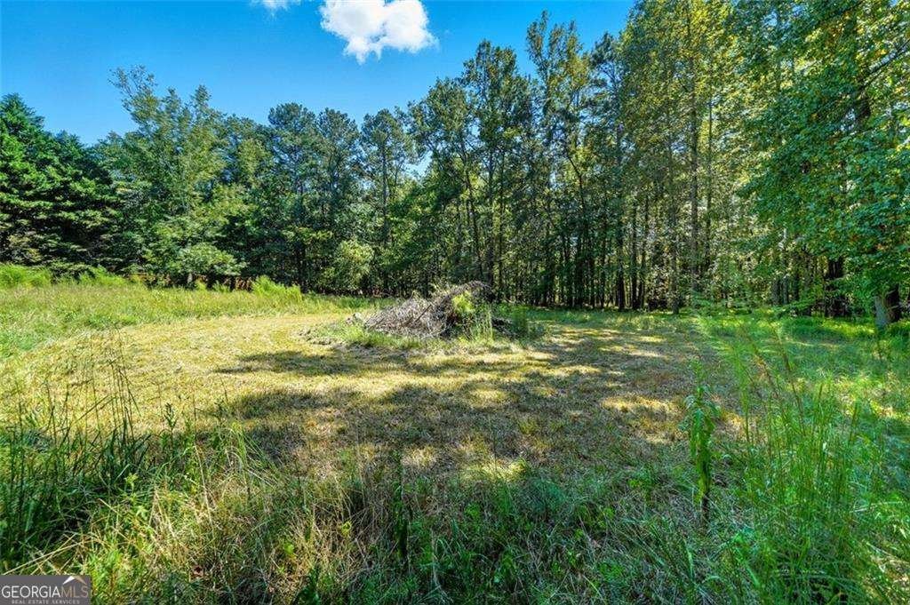 5239 Nora Drive Douglasville - 57