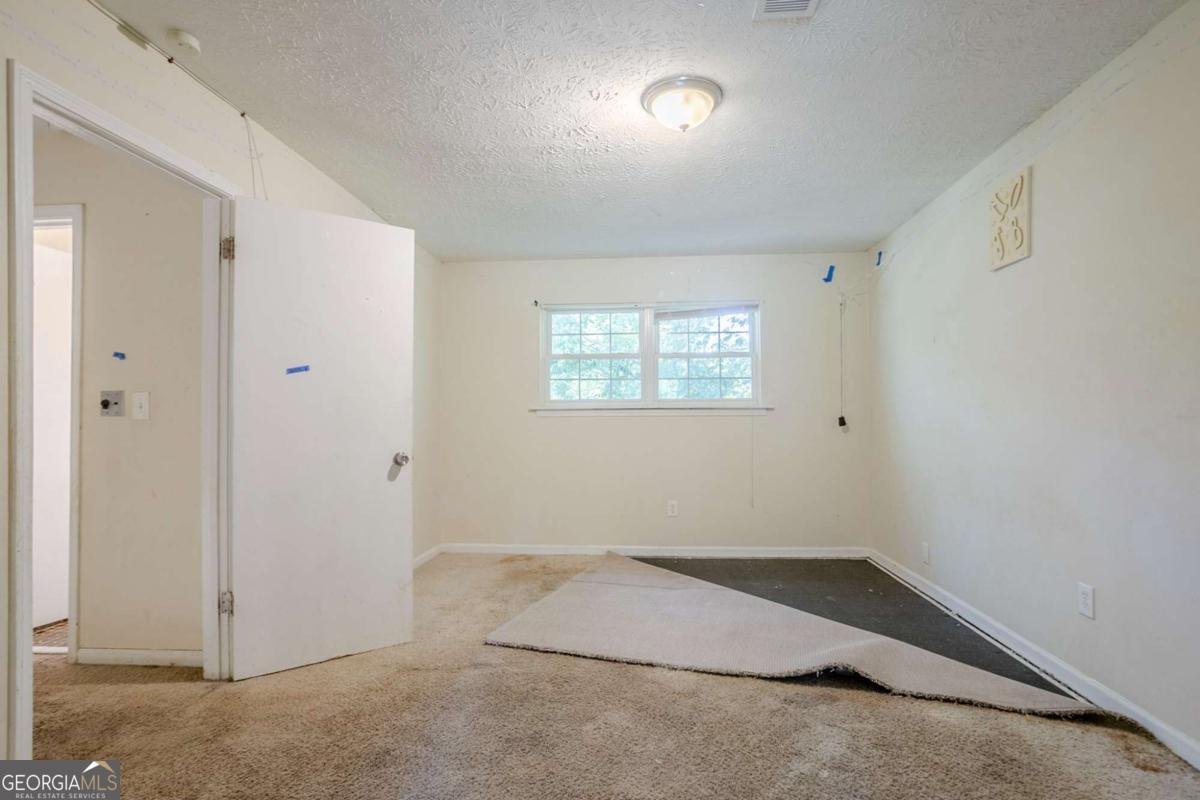 9894 Riverwood Court Douglasville - 22