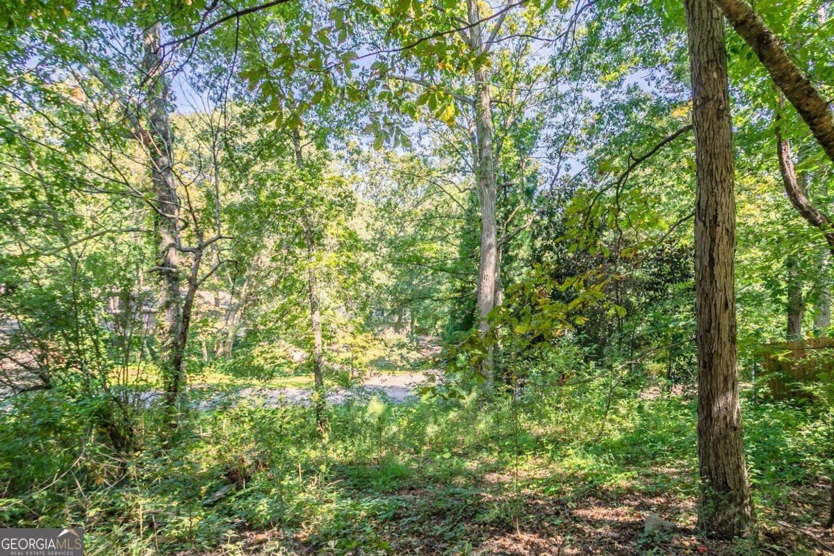 9894 Riverwood Court Douglasville - 40