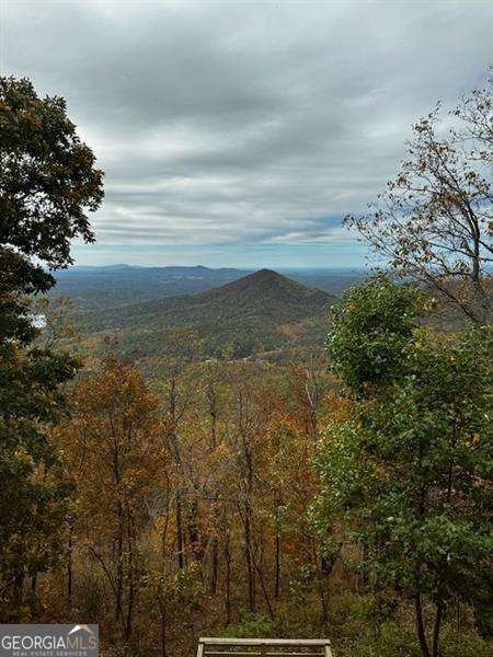 140 Sunset Cliff Drive Jasper - 68