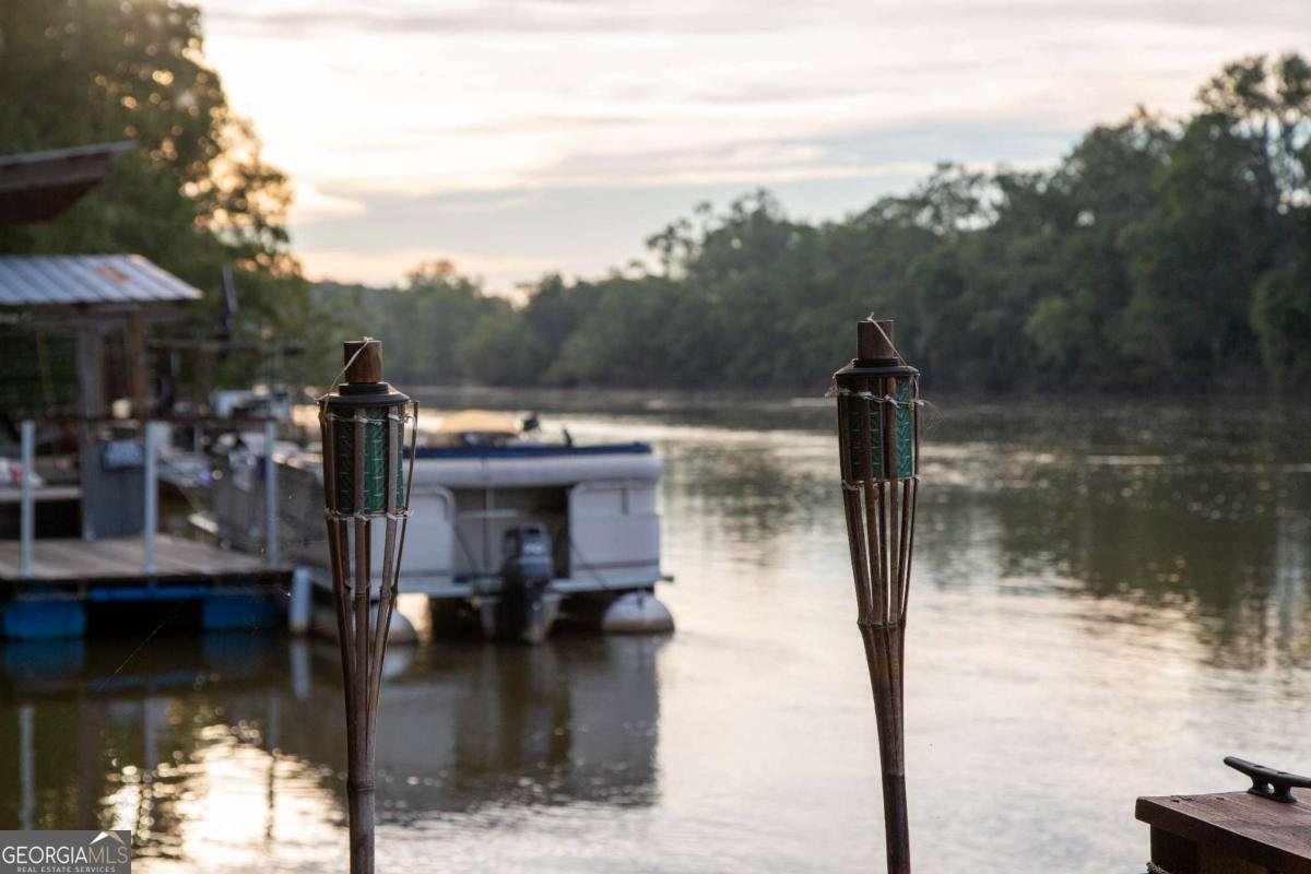 1758 Eason Bluff Road Baxley - 45