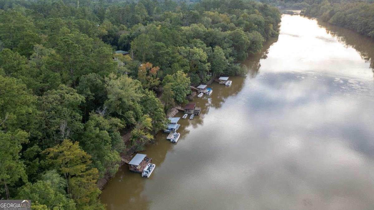 1758 Eason Bluff Road Baxley - 8