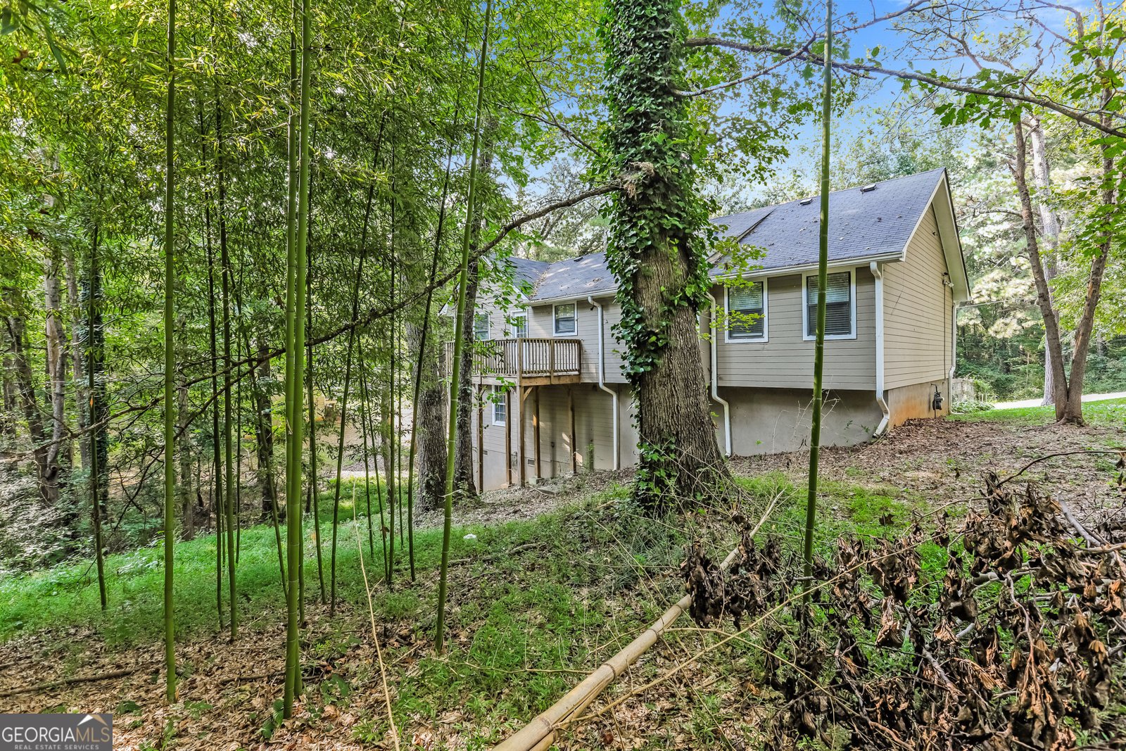 6776 Birch Road Winston - 18
