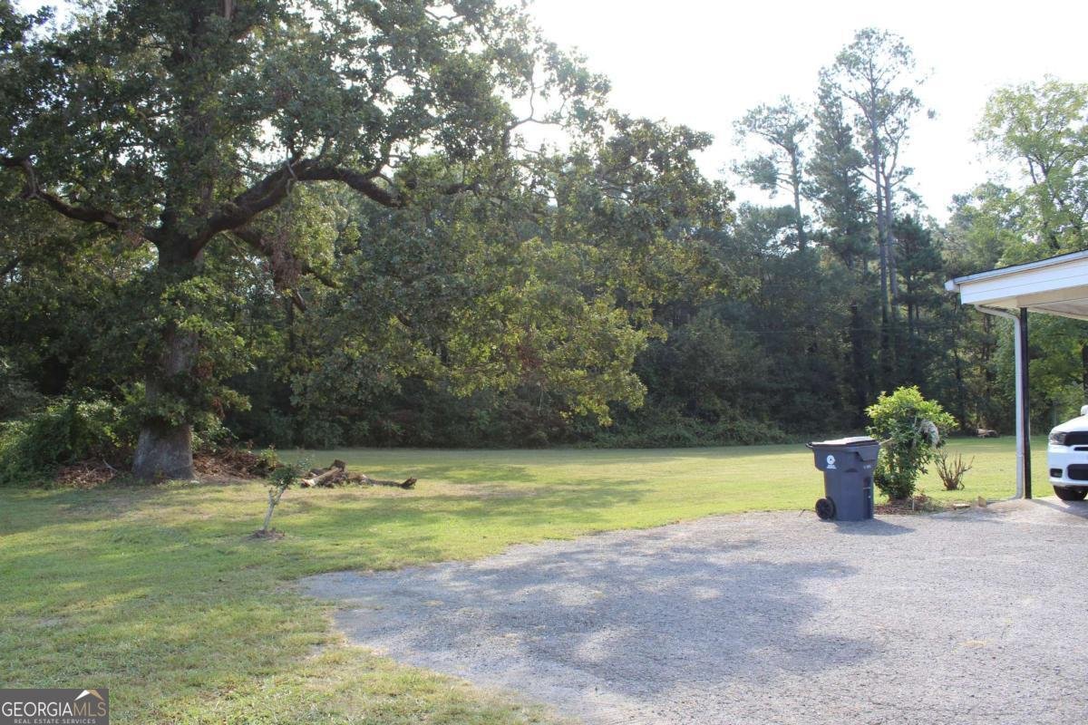 203 CASON Road Cedartown - 19