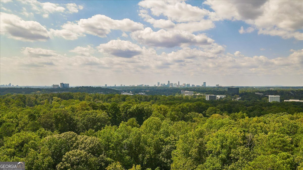3494 Briarcliff Road Atlanta - 44