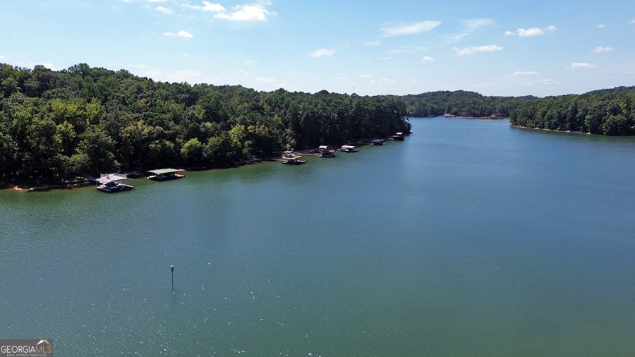 1045 Paynes Creek Road Hartwell - 1