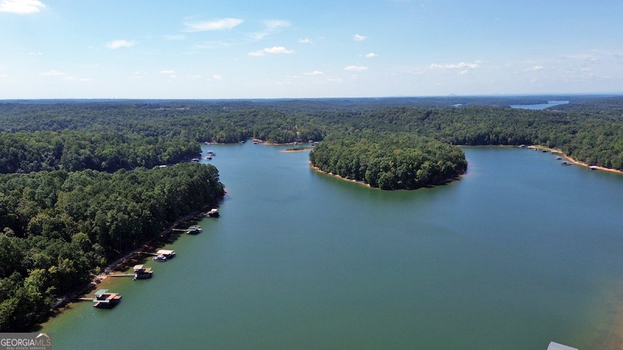 1045 Paynes Creek Road Hartwell - 10