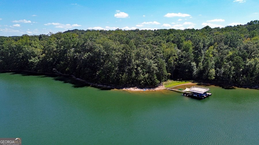 1045 Paynes Creek Road Hartwell - 2