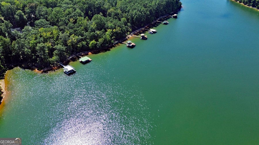 1045 Paynes Creek Road Hartwell - 3