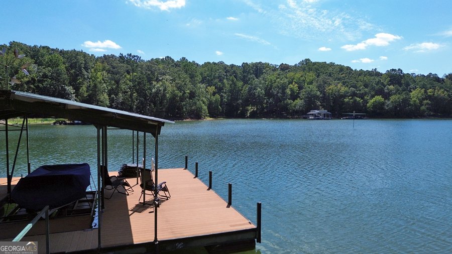 1045 Paynes Creek Road Hartwell - 31