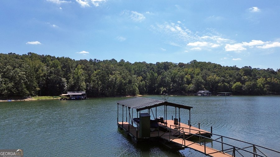 1045 Paynes Creek Road Hartwell - 32